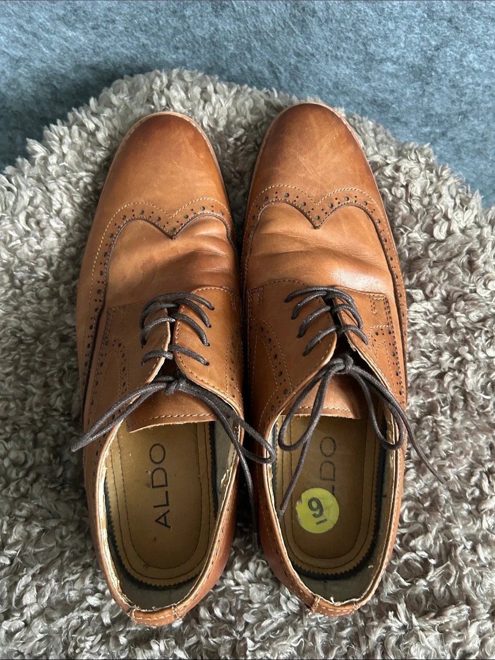 Aldo Tan Leather Wingtip Oxfords